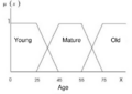 Thumbnail for version as of 14:22, 1 July 2025